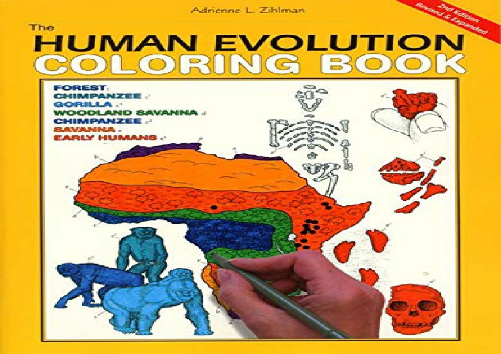 PPT PDF The Human Evolution Coloring Book kindle PowerPoint