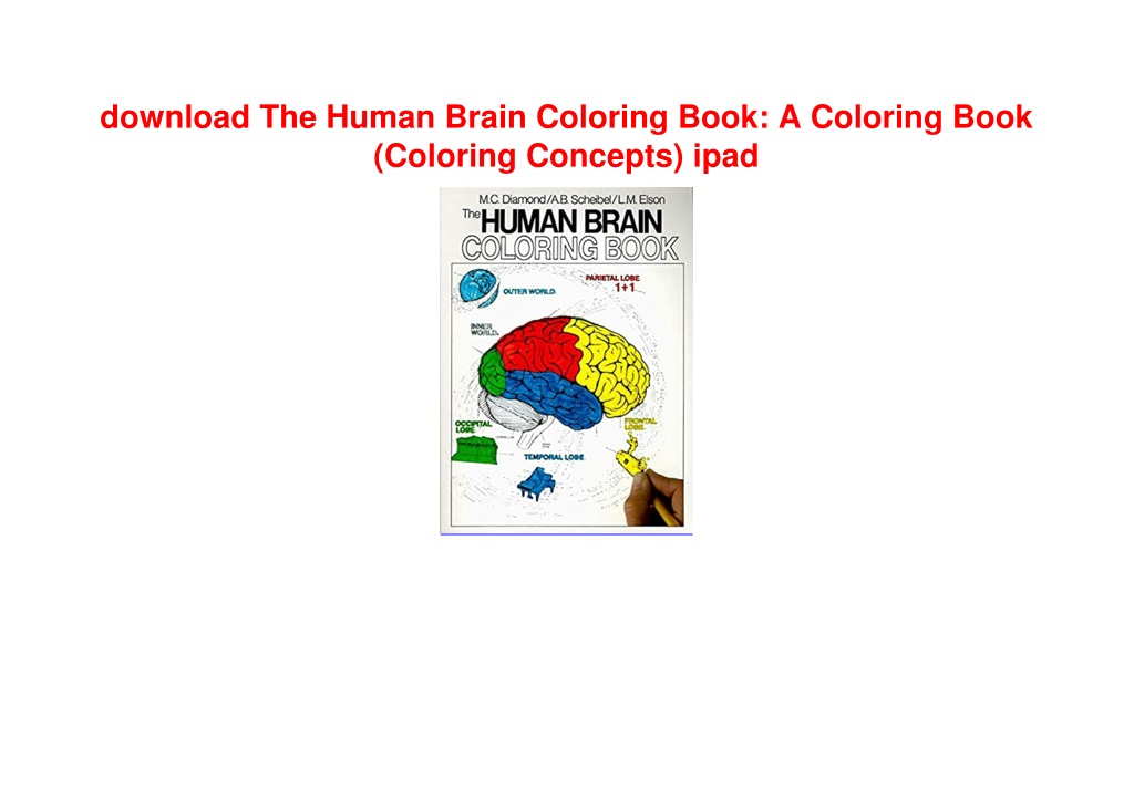 PPT download The Human Brain Coloring Book A Coloring Book (Coloring