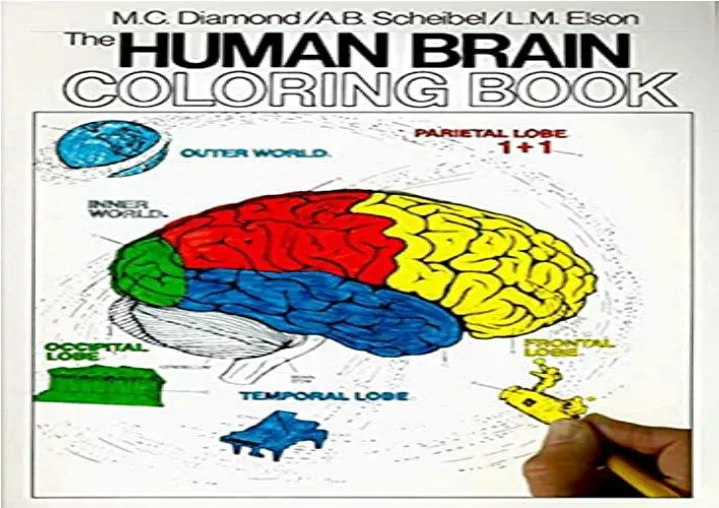 PPT - download The Human Brain Coloring Book: A Coloring Book (Coloring