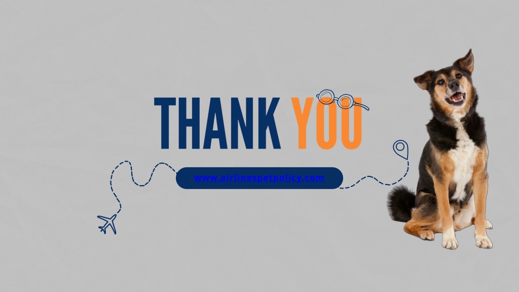 PPT Airlines Pet Travel Policy PowerPoint Presentation, free download