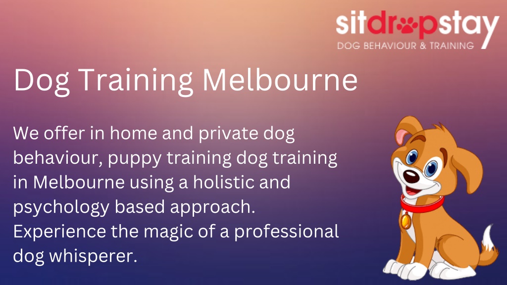 PPT Dog Training Melbourne PowerPoint Presentation, free download