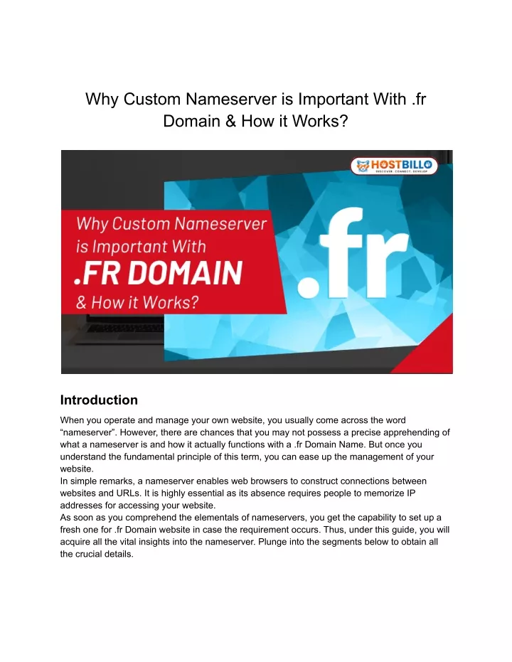 ppt-why-custom-nameserver-is-important-with-fr-domain-how-it-works