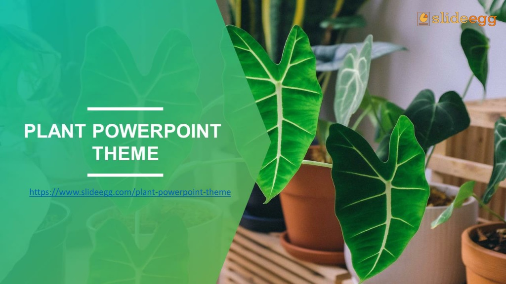 powerpoint presentation on plants