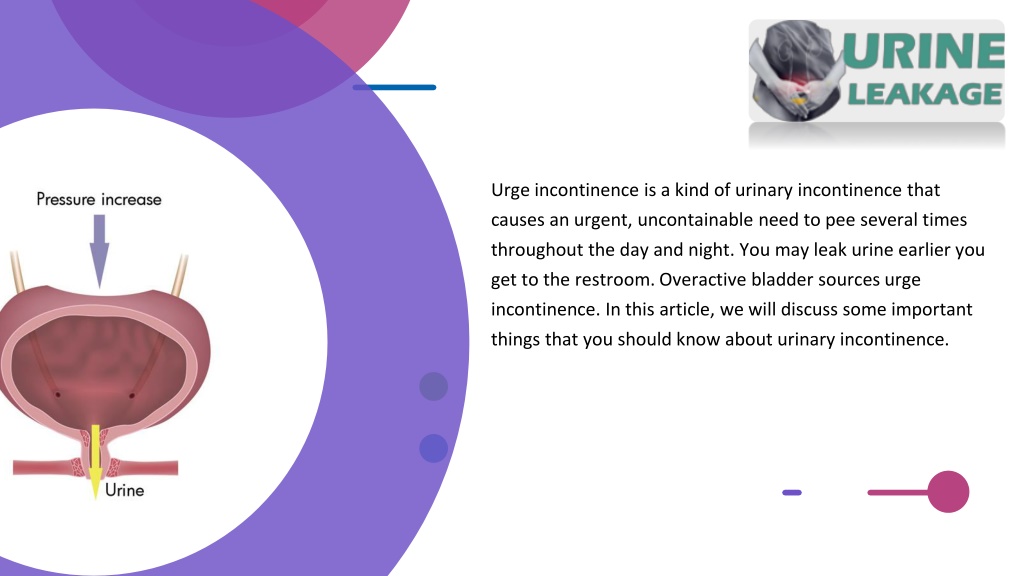 Ppt Whats Everything You Need To Know About Urinary Incontinence Powerpoint Presentation 