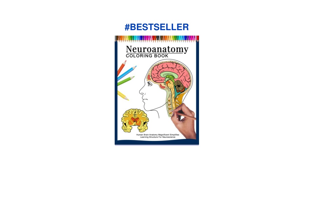 PPT - PDF Neuroanatomy Coloring Book | Human Brain Anatomy Magnificent ...