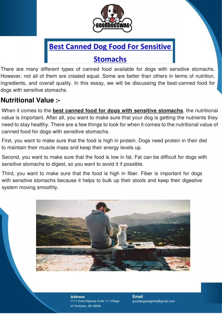 PPT Best Canned Dog Food For Sensitive Stomachs PowerPoint 