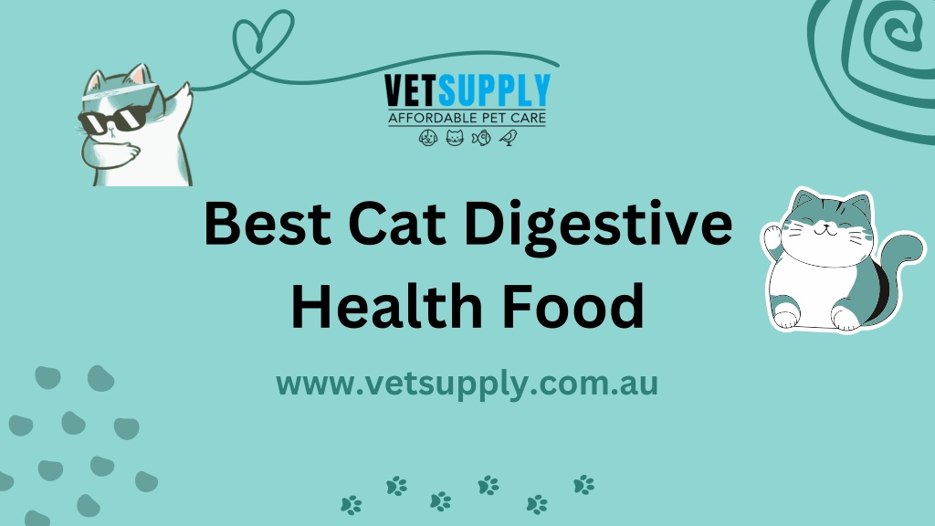 Ppt Cat Digestive Health Cat Digestive Health Food Vetsupply Powerpoint Presentation Id 6693