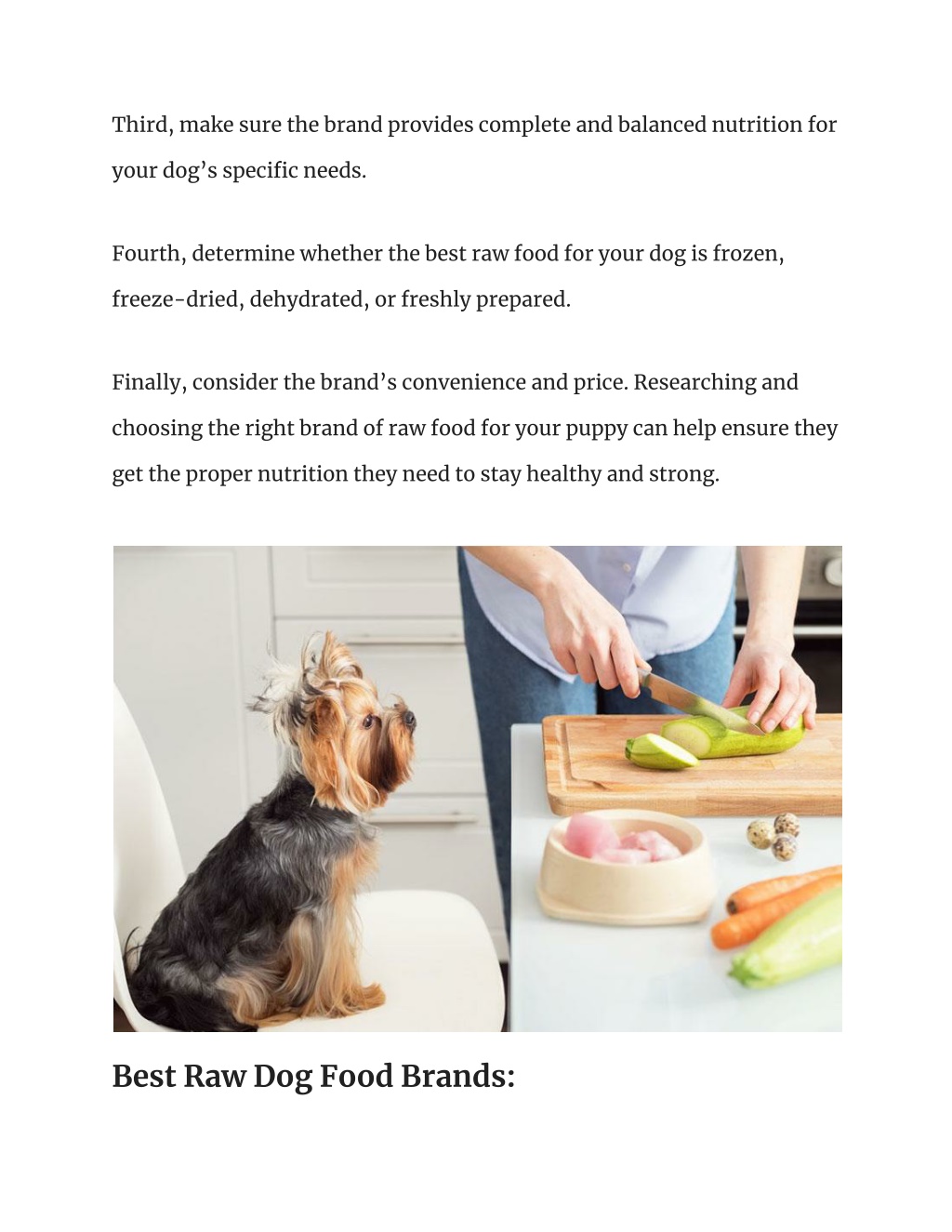 PPT The Ultimate List Of Best Raw Dog Food Brands For 2023 PowerPoint