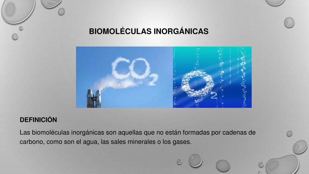 PPT - Biomoléculas Inorgánicas PowerPoint Presentation, Free Download ...