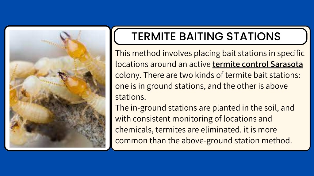 PPT - Major Termite Control Methods - Pestguard PowerPoint Presentation ...