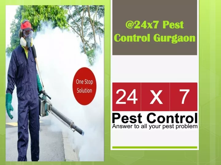 PPT Professional Pest Control Services in Delhi PowerPoint