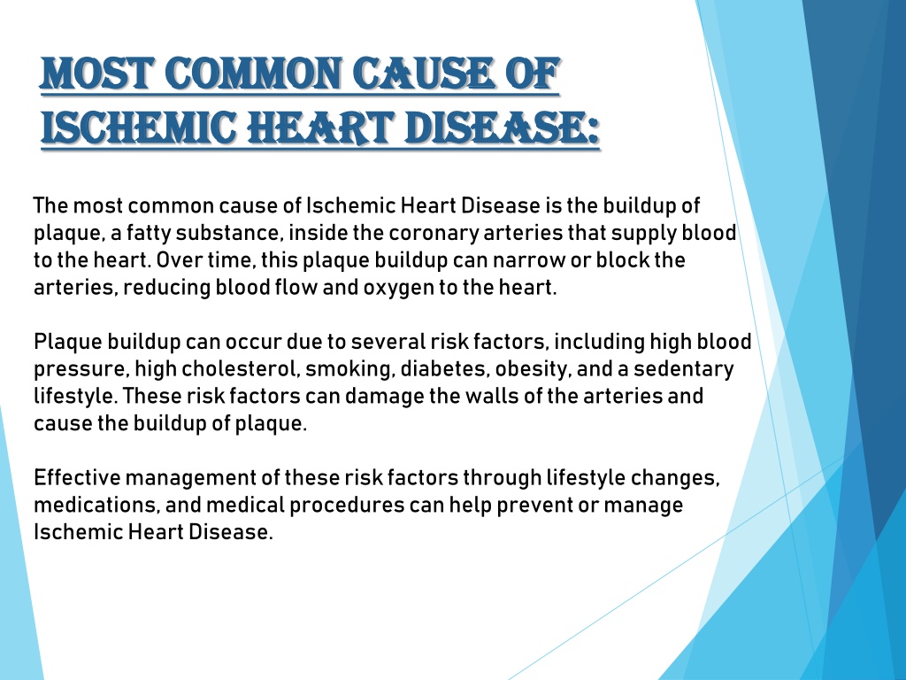 Ppt A Comprehensive Guide To Ischemic Heart Disease Powerpoint Presentation Id12056610 9748
