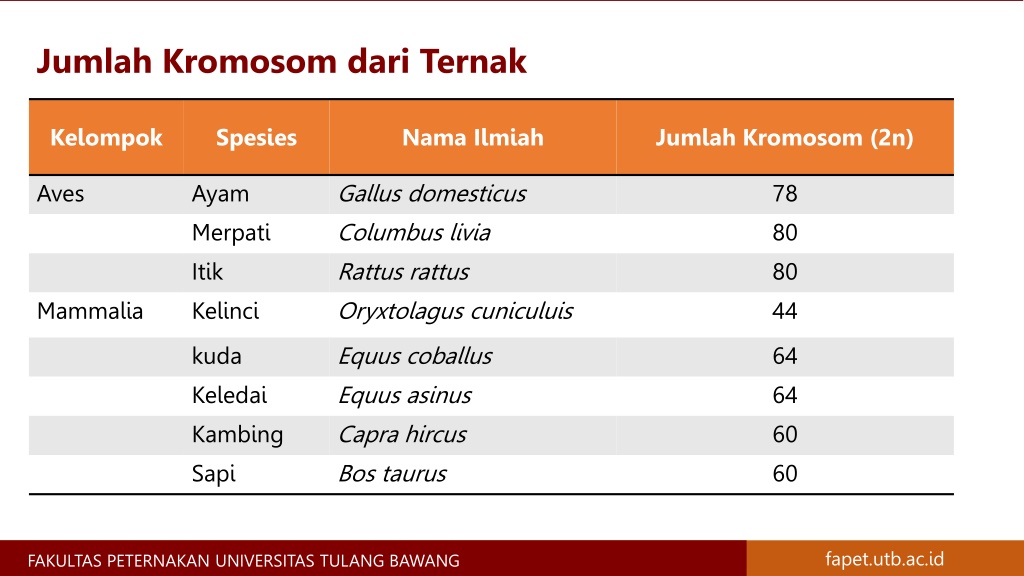 PPT - Materi Genetik Kromosom, Gen, DNA, dan RNA - Materi Genetika ...