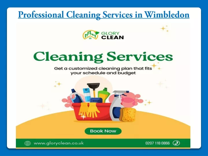 professional cleaning services in wimbledon n.