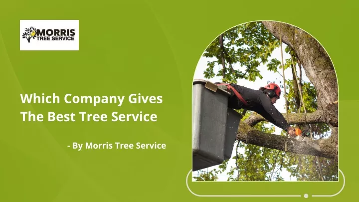 PPT - Learn About The Best Tree Service Company PowerPoint Presentation ...