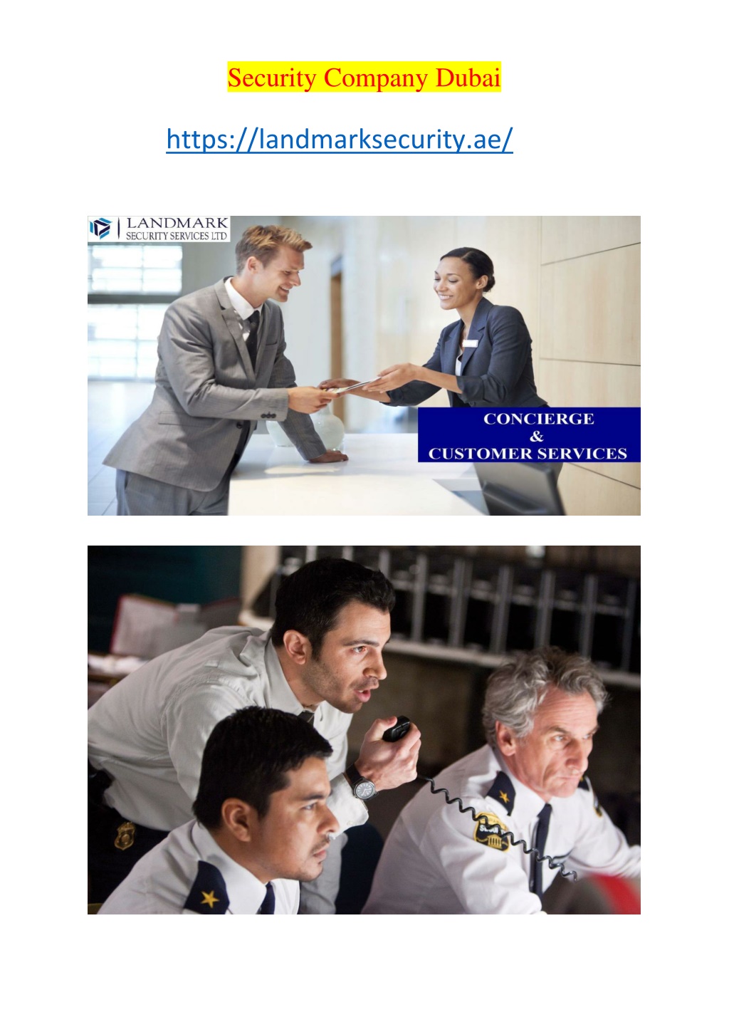 PPT Security Company Dubai PowerPoint Presentation, free download