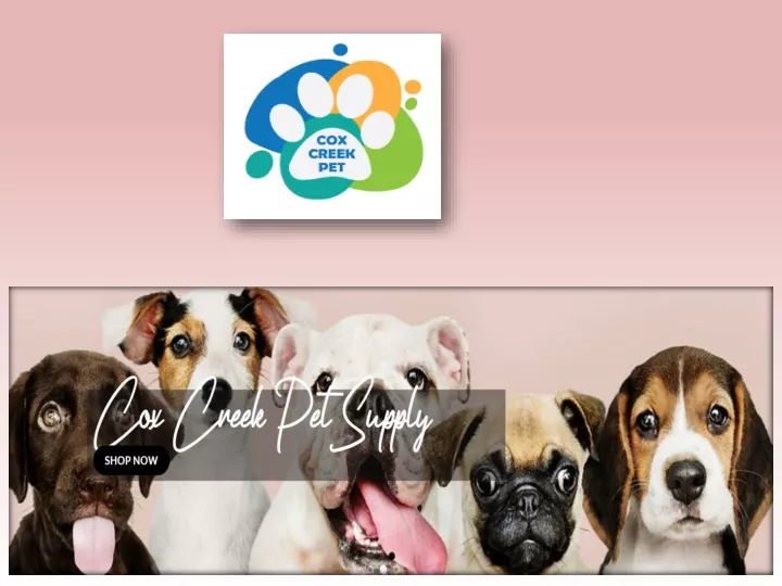 PPT - Pamper Your Pet with the Convenience of Online Pet Supply Shopping PowerPoint Presentation - ID:12080488
