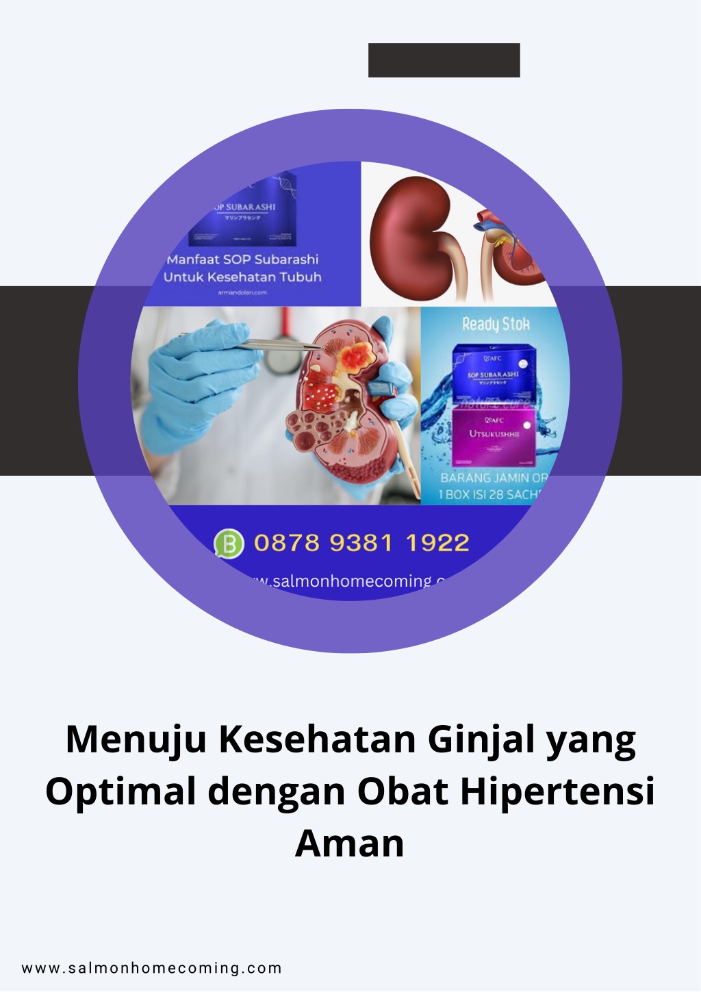 PPT - Menuju Kesehatan Ginjal Yang Optimal Dengan Obat Hipertensi Aman ...