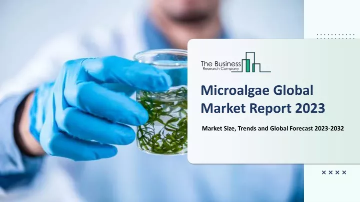 PPT - Microalgae Market PowerPoint Presentation, free download - ID ...