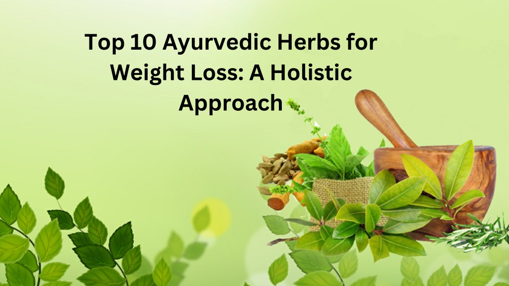 PPT - Top 10 Ayurvedic Herbs for Weight Loss A Holistic Approach ...