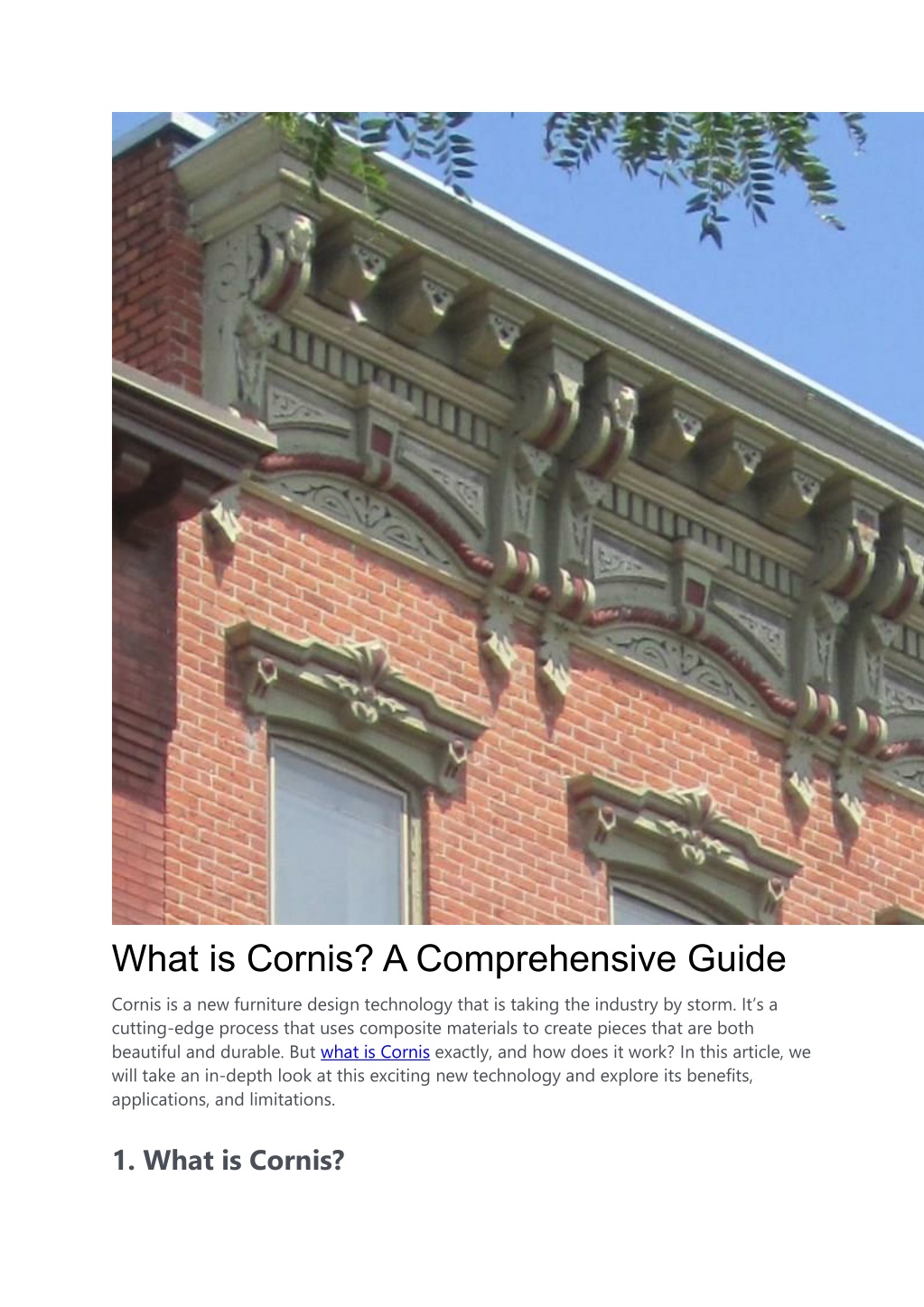 PPT What is Cornis PowerPoint Presentation, free download ID12090705