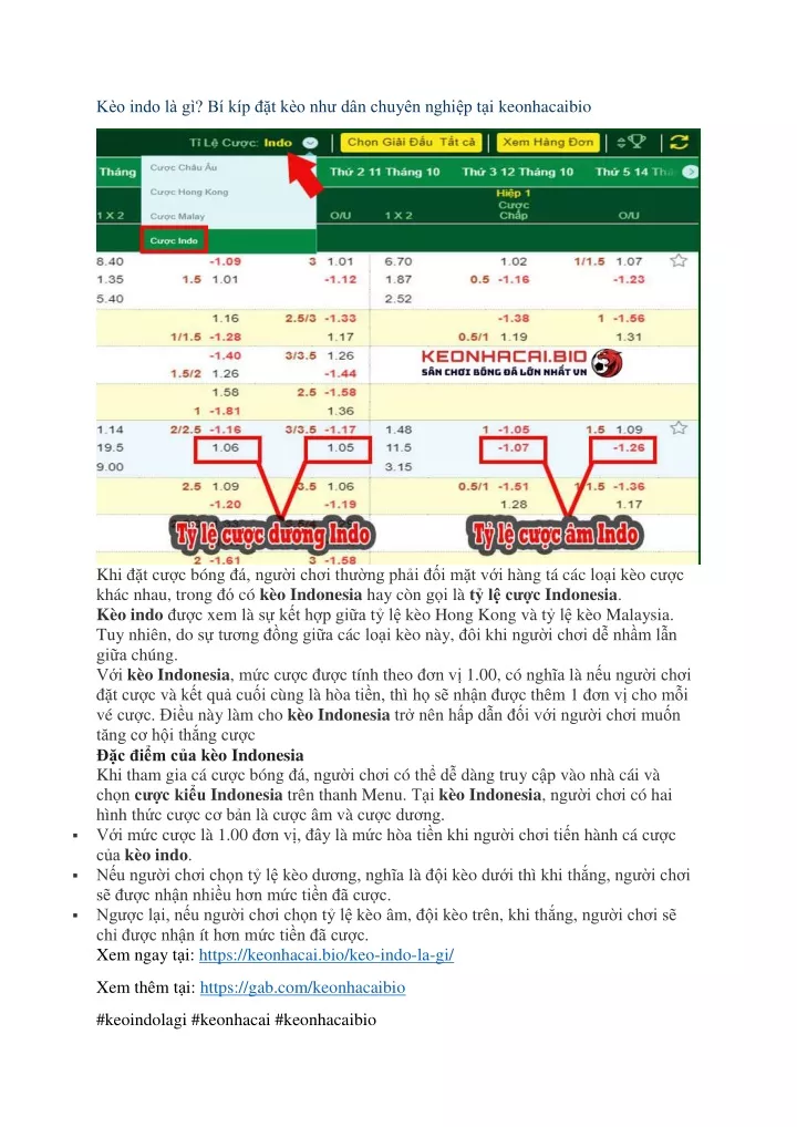 PPT Kèo indo là gì Và tìm hiểu kỹ về tỷ lệ cược chính xác nhất tại