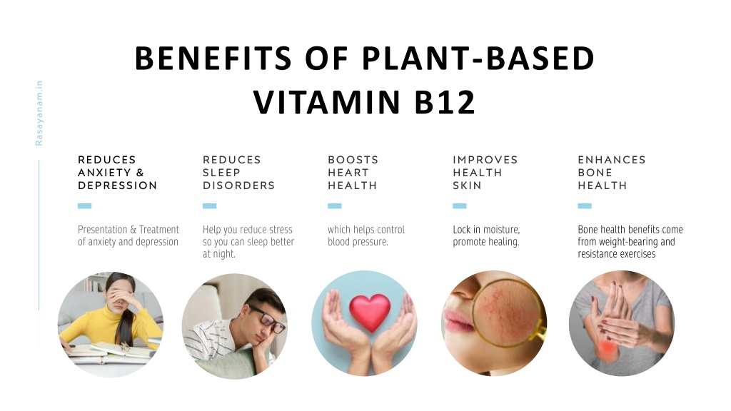 PPT - Plant Based Vitamin B12 PowerPoint Presentation, Free Download ...