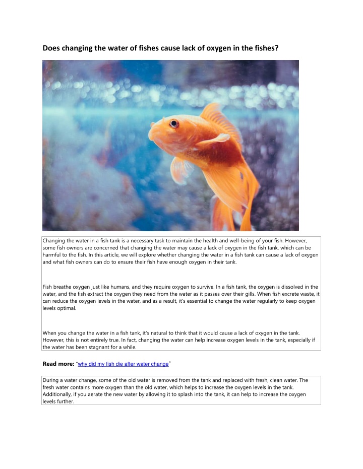 PPT - Does changing the water of fishes cause lack of oxygen in the ...