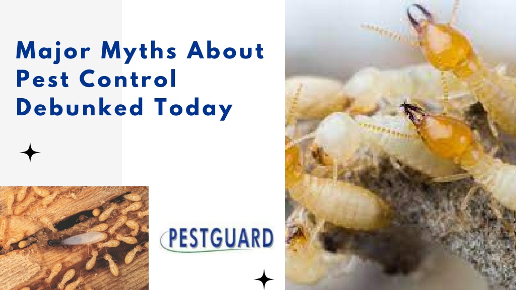 PPT Major Myths About Pest Control Debunked Today PowerPoint