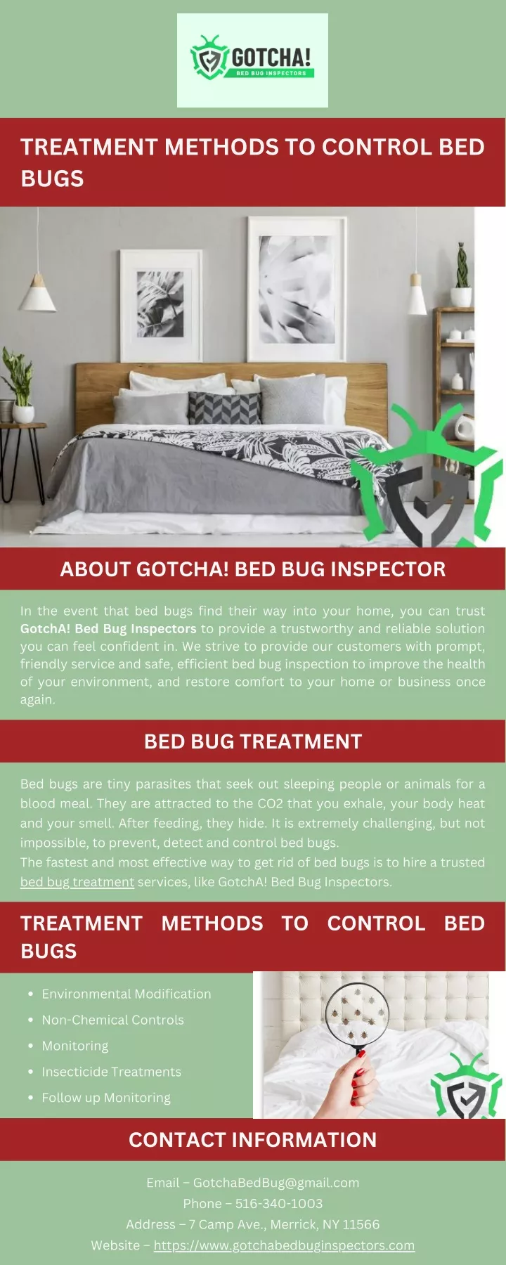 7 Essential Homemade Pest Control Tips from Professional Exterminators