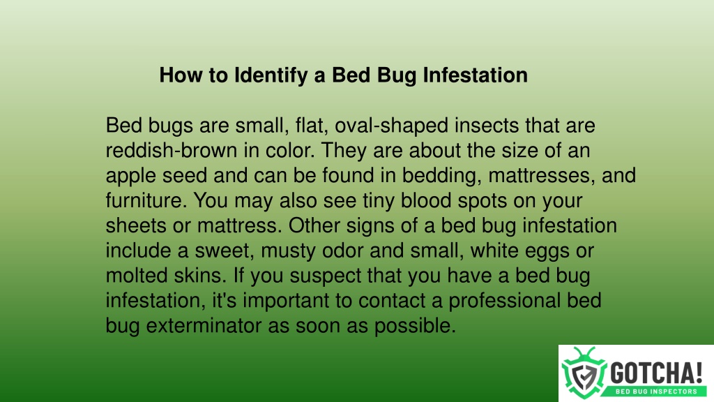 PPT - Gotcha Bed Bug Exterminators- Get Rid Of Bed Bugs PowerPoint ...