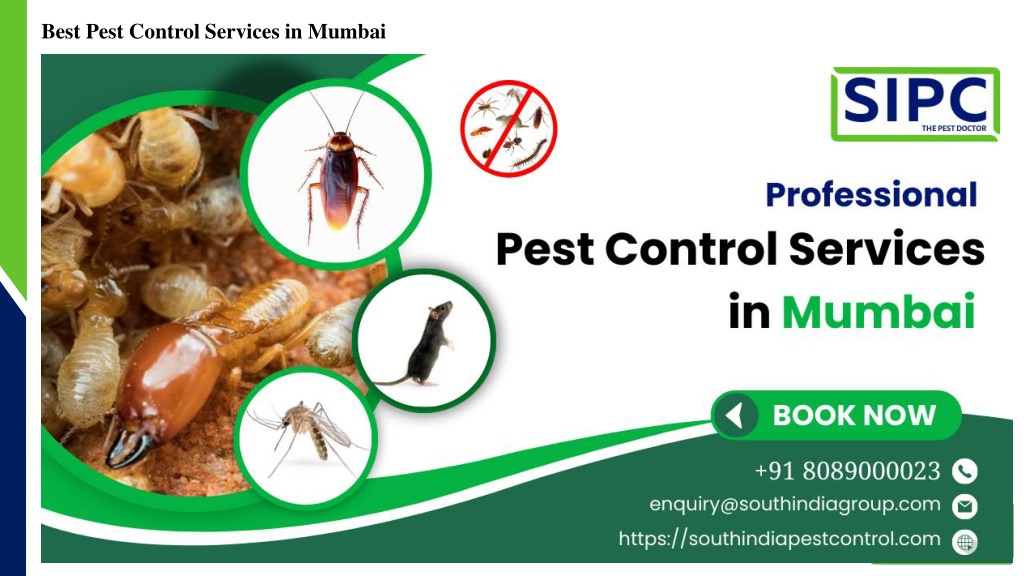 PPT - Best Pest Control Mumbai PowerPoint Presentation, free download ...