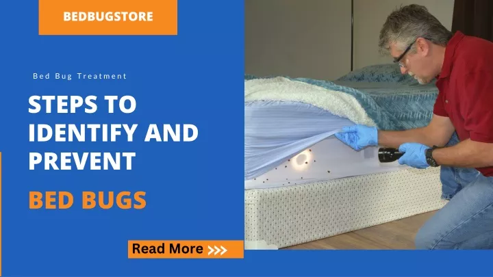 PPT - Find Easy Steps to Identify and Prevent Bed Bugs PowerPoint ...