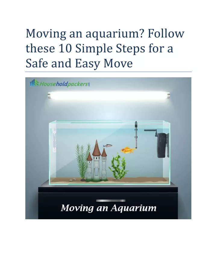 Ppt Moving An Aquarium Follow These 10 Simple Steps For A Safe And
