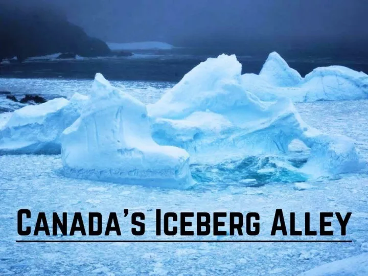 canada s iceberg alley n.