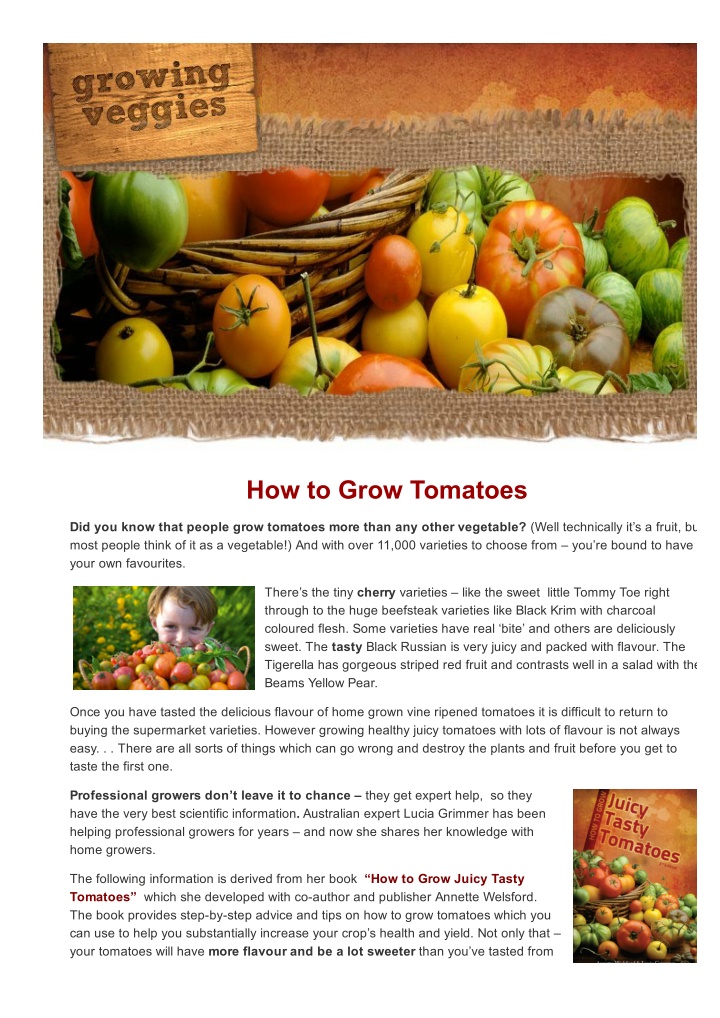 PPT - Become A Tomato Growing Expert With The World's Best Selling ...